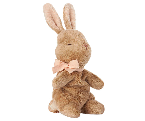 My first Bunny