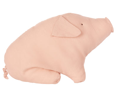 Schwein medium